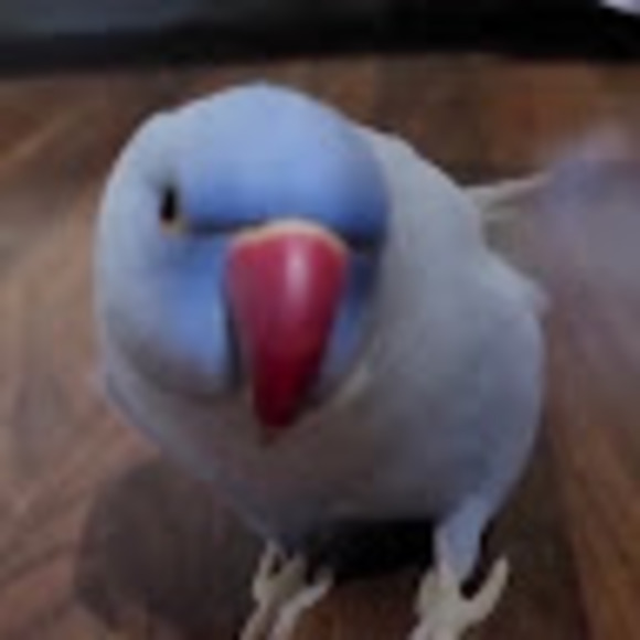 taliyahc27